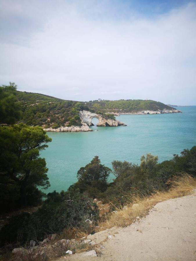 Vieste Holiday Екстер'єр фото